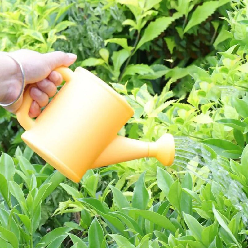 Range outil jardinage